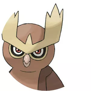Noctowl