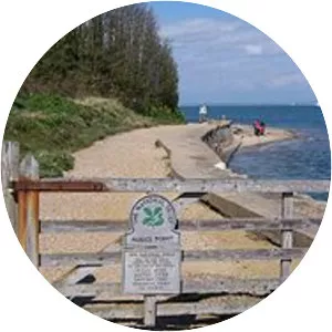 Nodes Point Battery - 