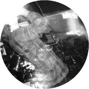 Noisy Sins of the Insect - Musical group