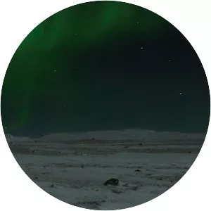 Nomi Baumgartl - Photojournalist