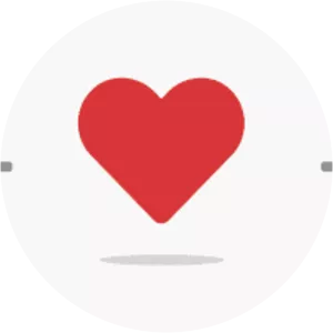 Non-profit organisation - Organization legal structure