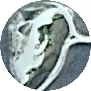 Nootamaa - Island in Estonia