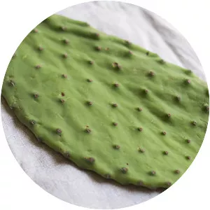 Nopal - 