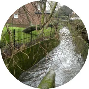Norbury Brook