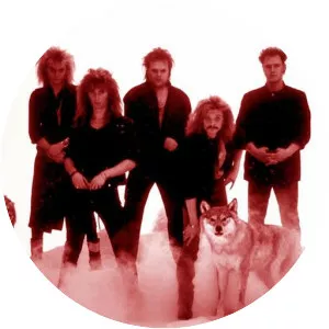 Norden Light - Musical group