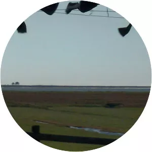 Norderoog - Island in Hooge, Germany