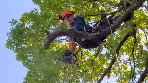 NorDesbroce - Forestry service