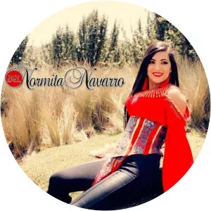 Normita Navarro - Musical artist