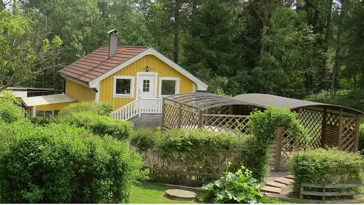 Norra Stockholm Katt