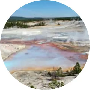Norris Geyser Basin - 