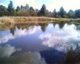 Norscot Koppies Nature Reserve - 