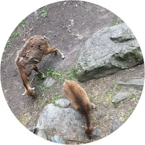 Norsk Motorhistorisk Museum - 