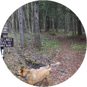 North Country Trail - 