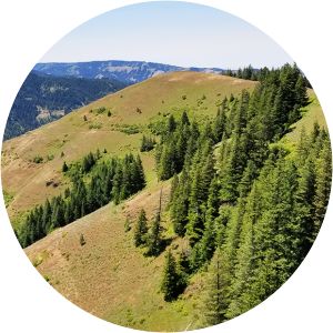 North Fork Umatilla Wilderness