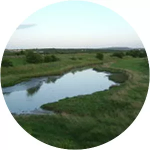 North Kent Marshes - 