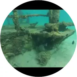 North Keppel Island - 