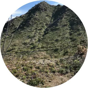 North Mountain Village - Village in Arizona