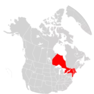 Northeast blackout of 1965 - 