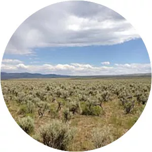 Northern Basin and Range ecoregion - 