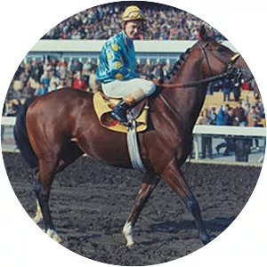 Northern Dancer - Horse