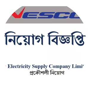 Northern Electricity Supply Company . . .