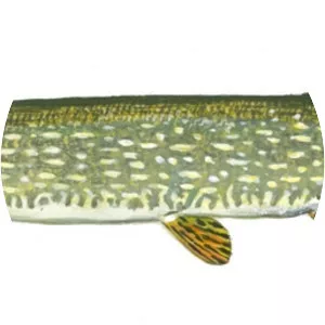 Northern pike - Fish