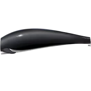 Northern right whale dolphin