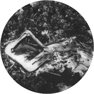 Northwest Airlines Flight 421