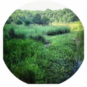 Northwest Airlines Flight 6231 - Airline crash