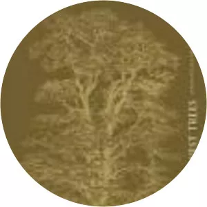 Northwest Trees: Identifying and Understanding . . .