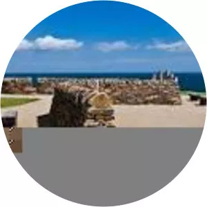 Nose's Point Seaham - 