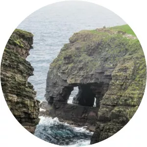 Noss National Nature Reserve