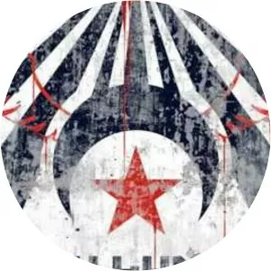 Not a Clever Pony Musician - Musical artist