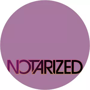 Notarized: Top 100 Videos of 2013