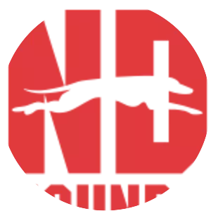 Notre Dame Hounds - Ice hockey team