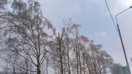 Novo-Ivanovskoye - Bus station in Russia