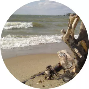 Novosibirsk Reservoir photograph