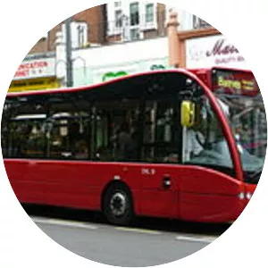 NSL Buses