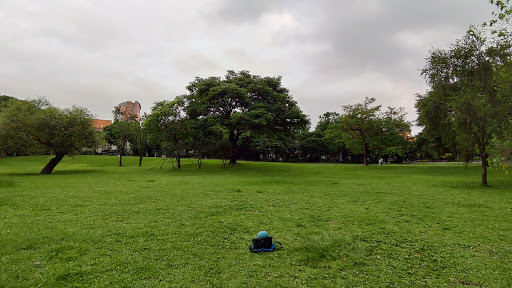 NTU School of Veterinary Medicine - Academic department in Taipei, Taiwan