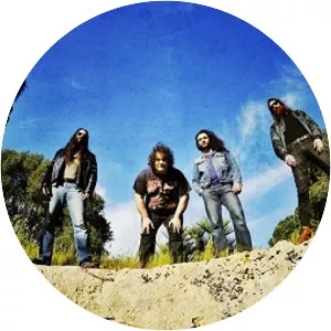 Nuclear Symphony - Musical group