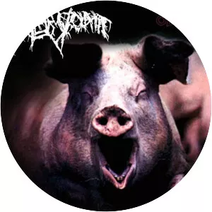 Nuclear Vomit - Musical group