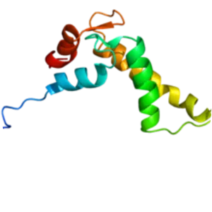 Nucleobindin 1