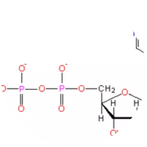 Nucleoside triphosphate - 