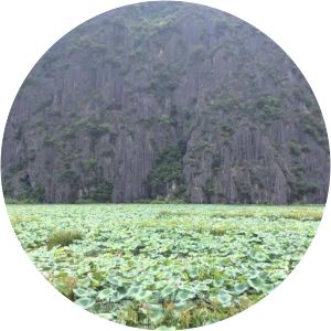 Núi Mèo Cào Ninh Bình