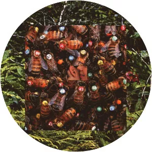 Numb Bats - Musical artist