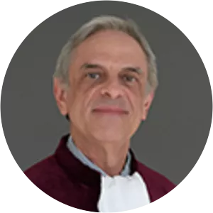 Nuno José Cardoso da Silva Piçarra - Jurist