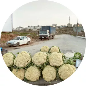 Nurit Yarden - Israeli photographer