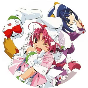 Nurse Witch Komugi - Animated series