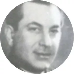 Nurullah Esat Sümer - Politician