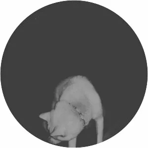 Nvblado - Musical group